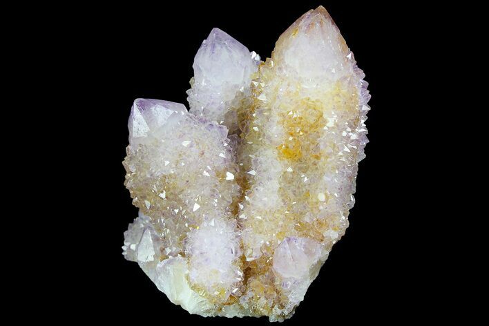 Cactus Quartz (Amethyst) Crystal Cluster - South Africa #180720